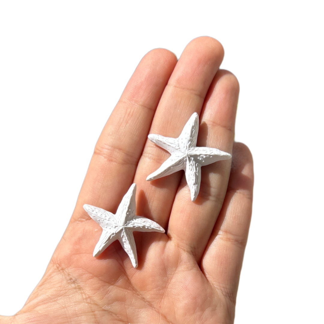 Estrella de mar S